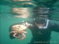 Audierne 2009 Apnee 18