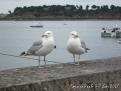 2014-06-Dinard-IMG 3089