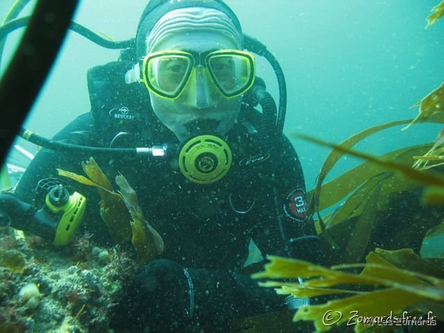 2008 09 28 SM Basse 15