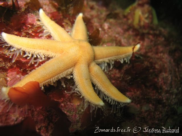 2010 05 Audierne Bio03