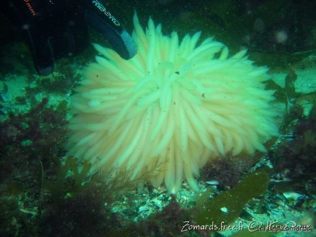 2010 05 Audierne Bio18