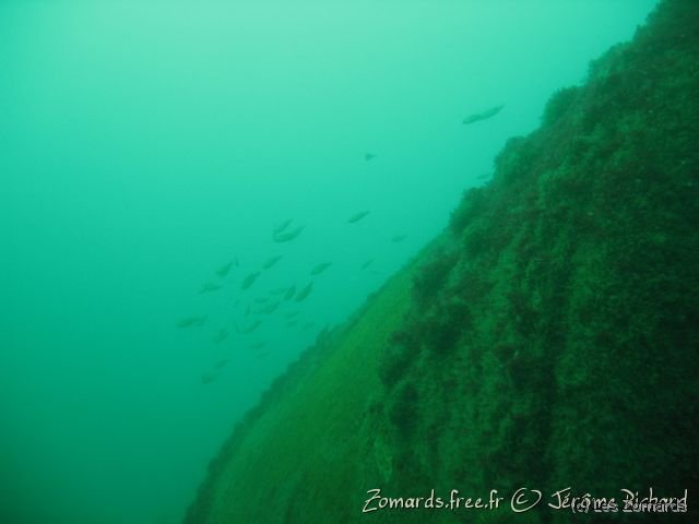 2010 05 Audierne Bio25