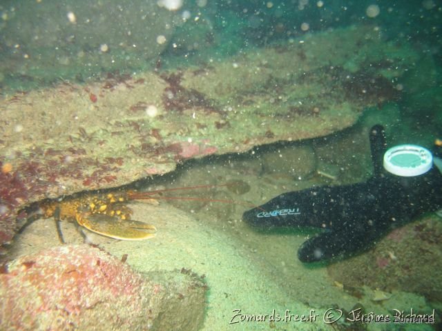 2010 05 Audierne Bouteille30