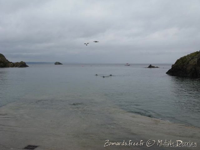 2010 05 Audierne Bouteille69