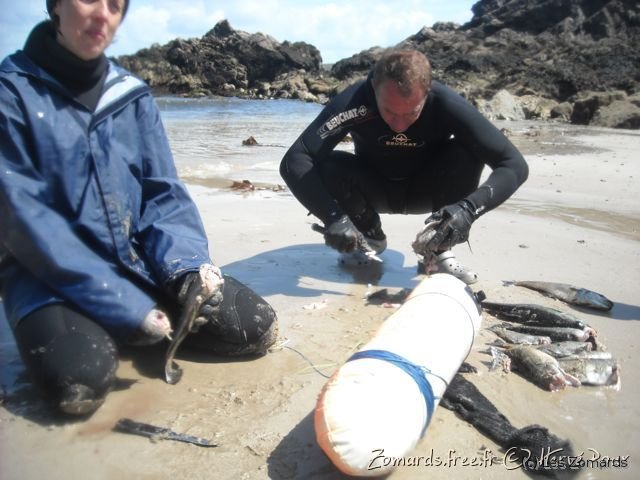 2010 05 Audierne Herve 54