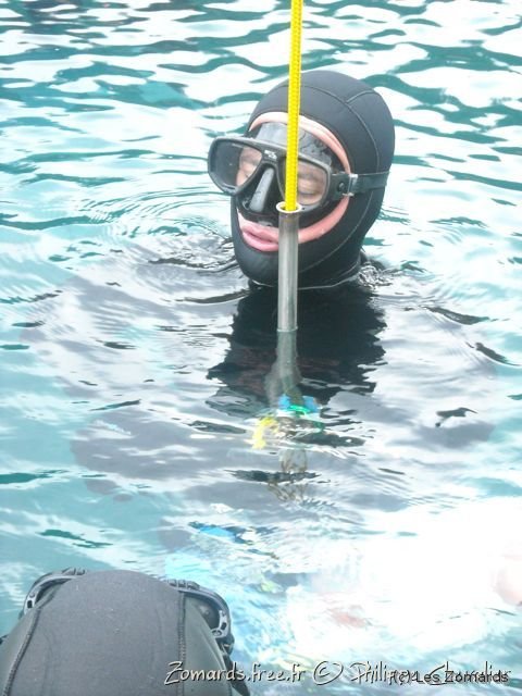 2010 Apnee 26