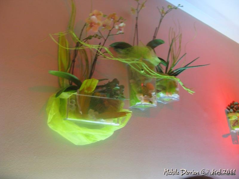 20110416  Soire efillesauresto 32