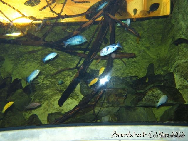 2012-03-04-Fosse-Enfants-056