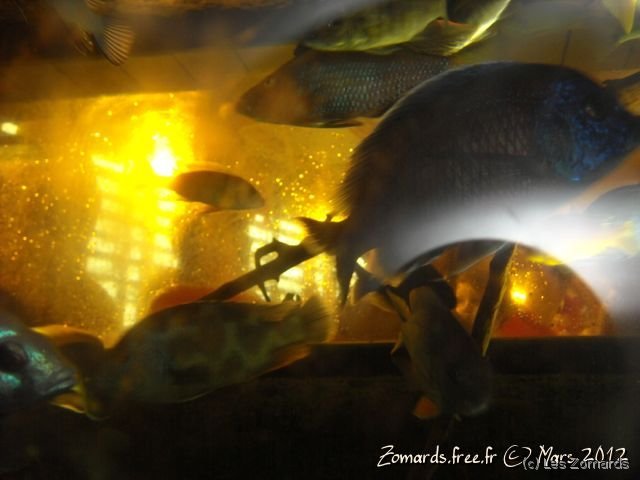 2012-03-04-Fosse-Enfants-160