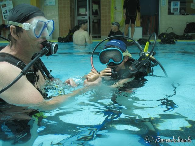 2015-05-30-Zomards-30ans-66