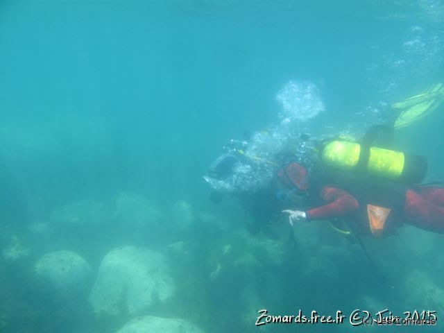 2015-06-27-StCast-06