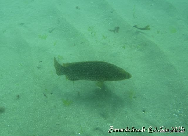 2015-06-27-StCast-08