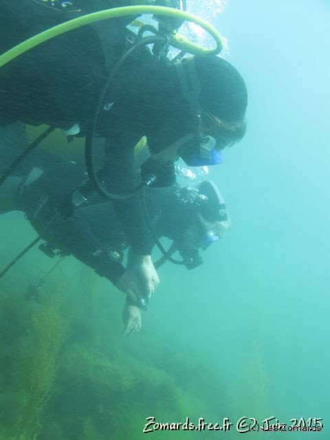 2015-06-27-StCast-15