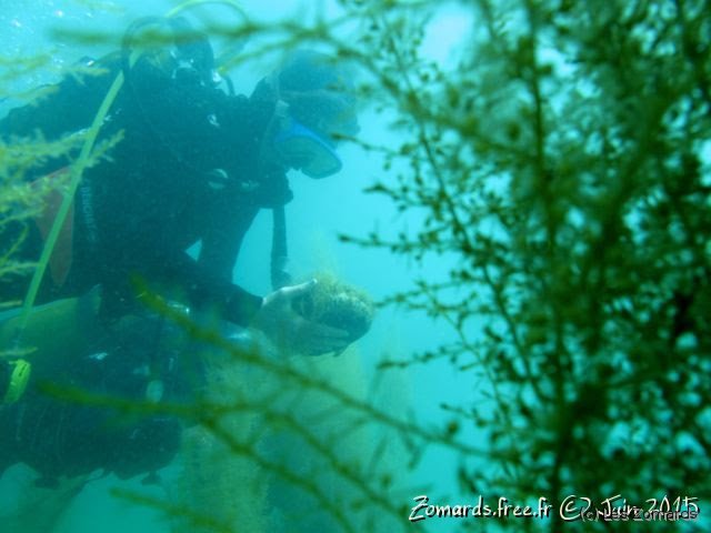 2015-06-27-StCast-16