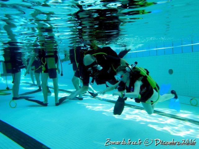 2016-TeÌ�leÌ�thon - 119