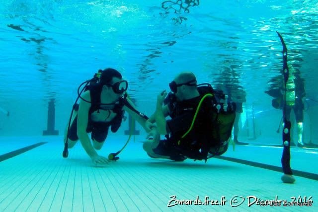 2016-TeÌ�leÌ�thon - 144