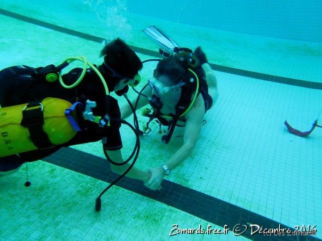 2016-TeÌ�leÌ�thon - 220