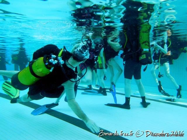 2016-TeÌ�leÌ�thon - 270