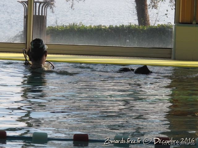 2016-TeÌ�leÌ�thon - 35