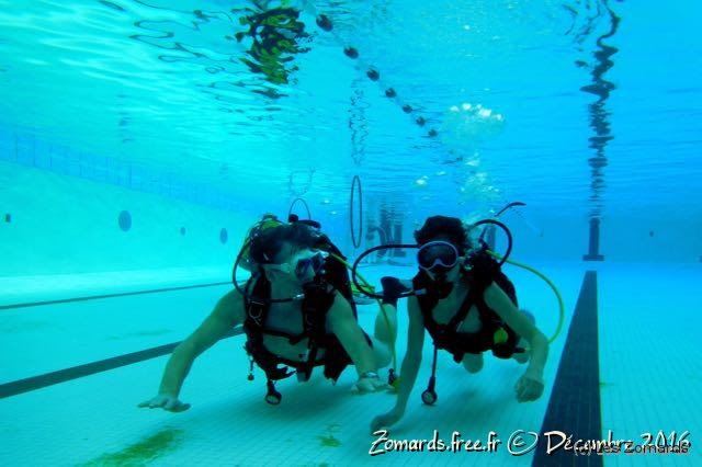 2016-TeÌ�leÌ�thon - 85