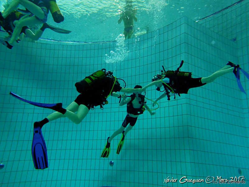 2017-03-19-Fosse-Jeunes-DSCN0873