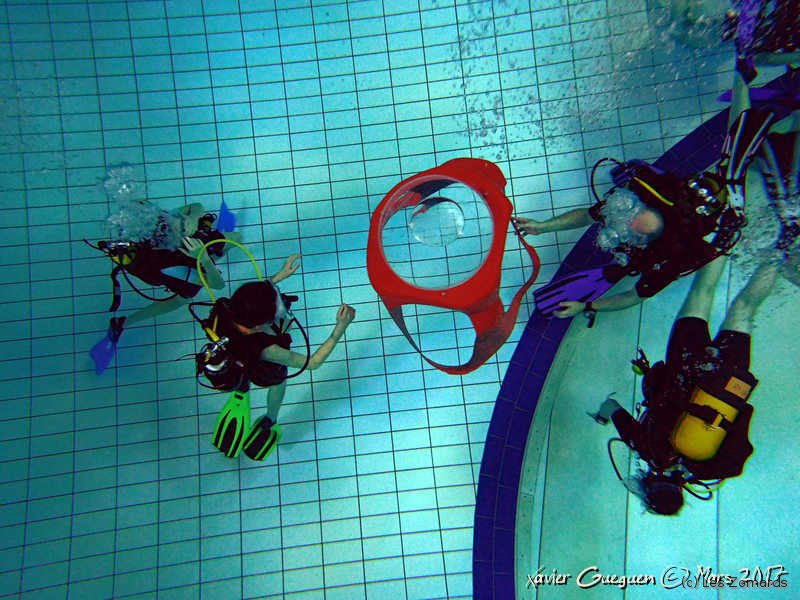 2017-03-19-Fosse-Jeunes-DSCN0887