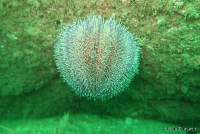 2022-05-Ascension-09