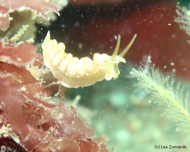 2022-05-Ascension-25