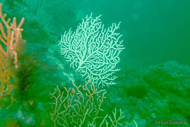 2022-05-Ascension-26