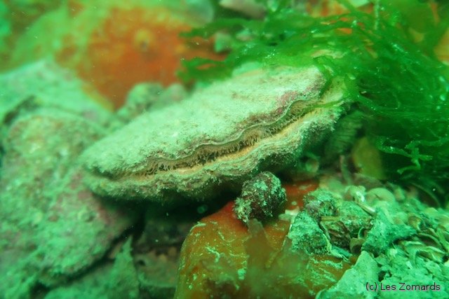 2022-05-Ascension-28