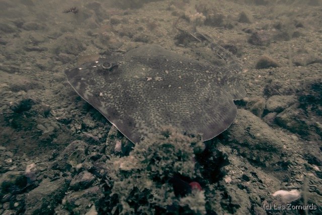 2022-05-Ascension-31