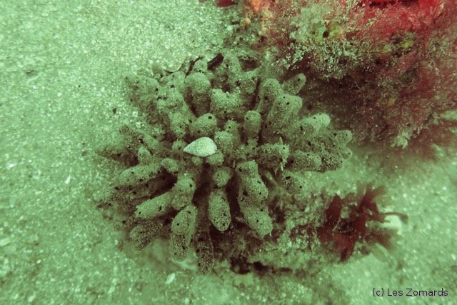 2022-05-Ascension-34