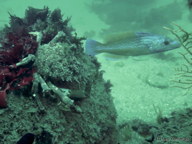 2022-05-Ascension-50