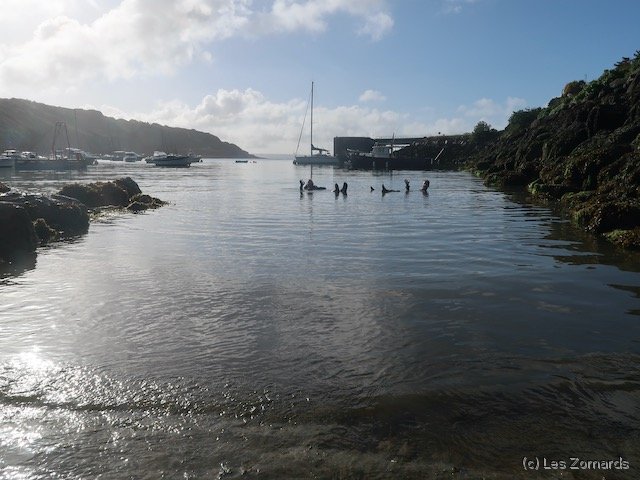 2022-06-Stage-FSGT-01