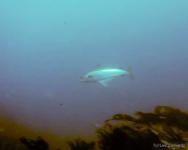 2022-06-Stage-FSGT-23