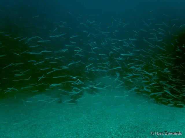 2022-06-Stage-FSGT-24