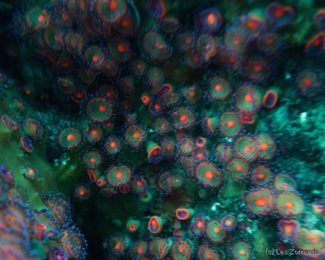 2022-06-Stage-FSGT-25