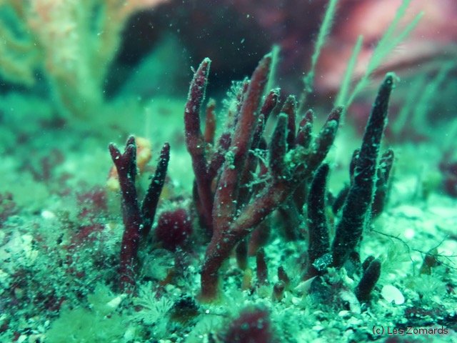 2022-06-Stage-FSGT-26