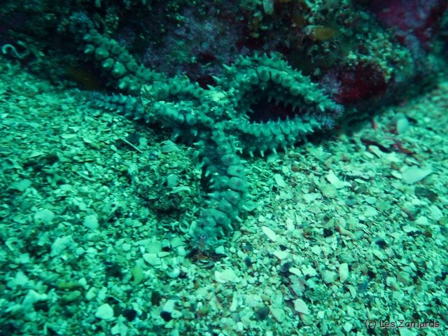 2022-06-Stage-FSGT-27