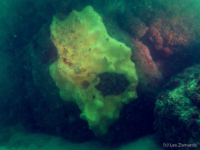 2022-06-Stage-FSGT-28