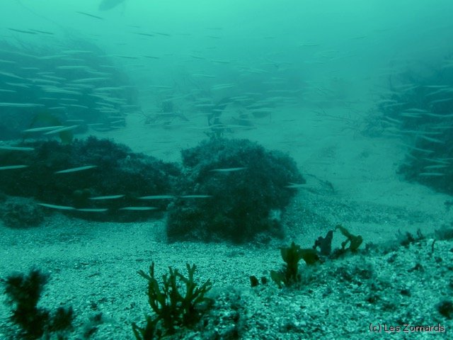 2022-06-Stage-FSGT-31