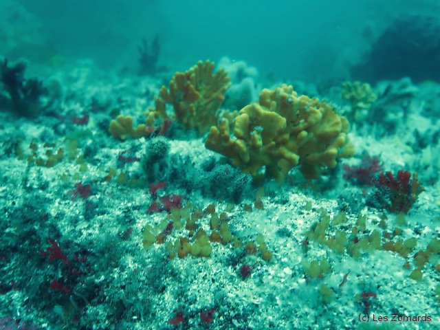 2022-06-Stage-FSGT-35