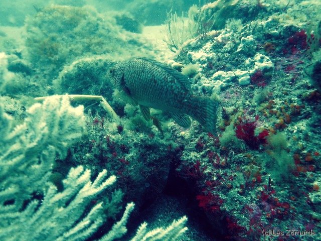 2022-06-Stage-FSGT-36