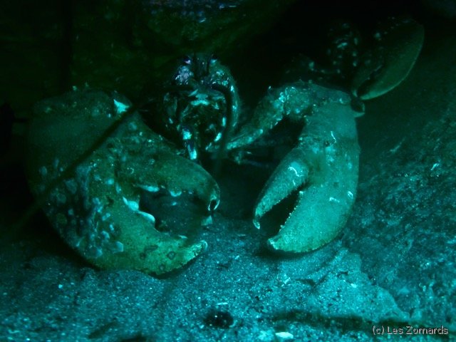 2022-06-Stage-FSGT-38