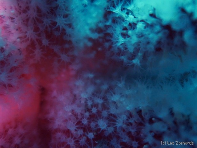 2022-06-Stage-FSGT-40