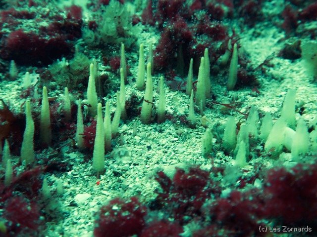 2022-06-Stage-FSGT-41