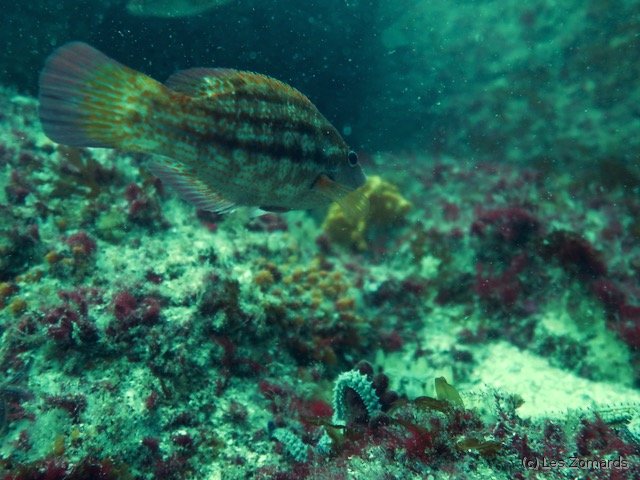 2022-06-Stage-FSGT-42