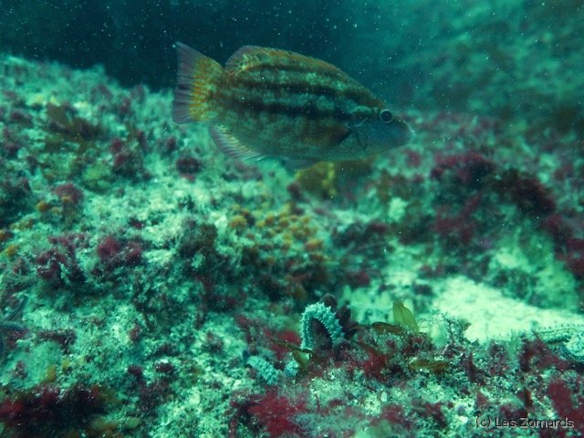 2022-06-Stage-FSGT-43