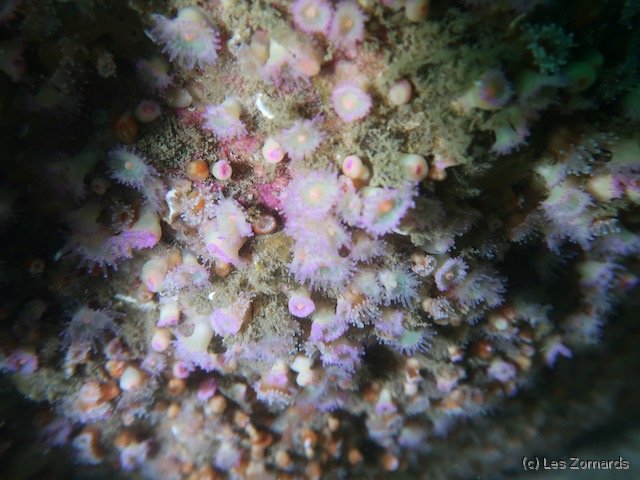 2022-06-Stage-FSGT-47