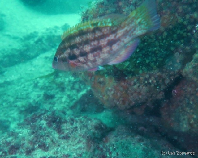 2022-06-Stage-FSGT-48